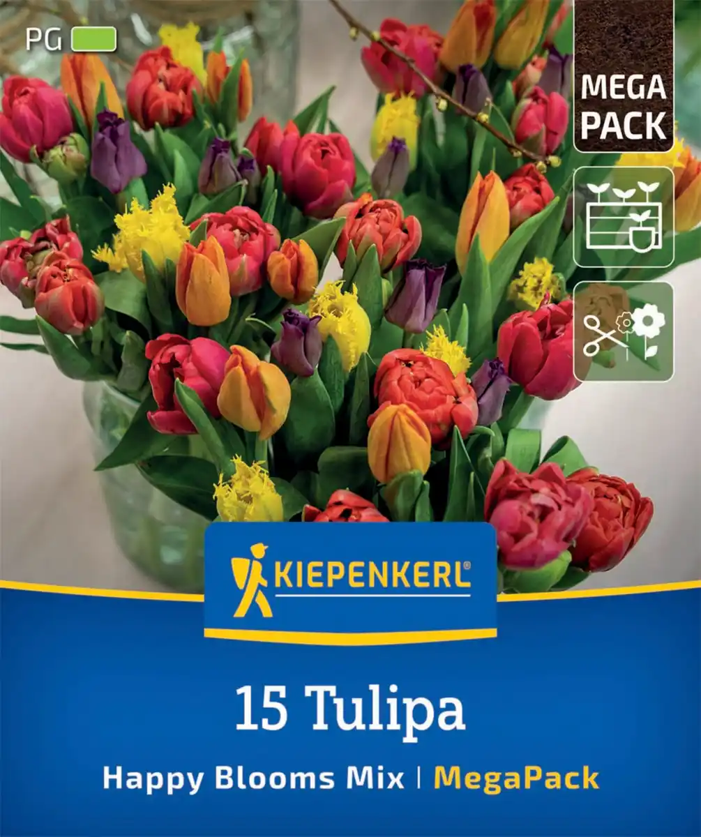 Bild 1 von Kiepenkerl Herbstblumenzwiebelmischung Mega-Pack Tulpen Happy Bloom Mix 15 Stück