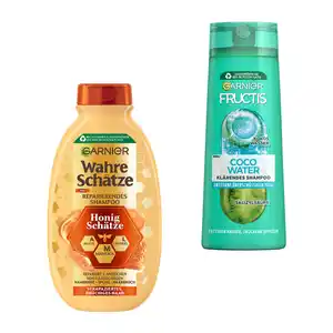 GARNIER Wahre Schätze / Fructis