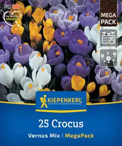 Kiepenkerl Herbstblumenzwiebel Mega-Pack Gartenkrokuse 25 Stück