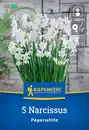 Bild 1 von Kiepenkerl Herbstblumenzwiebel Zimmer-Narzisse Paperwhite 5 Pflanzen