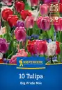 Bild 1 von Kiepenkerl Herbstblumenzwiebel Darwin-Hybrid-Tulpen Big Pride Mix 10 Stück