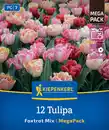 Bild 1 von Kiepenkerl Herbstblumenzwiebel Tulpen Foxtrot Mischung 12 Stück