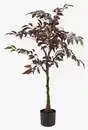 Bild 1 von Kunstpflanze DVERGDYKKER H120 cm grüner Baum