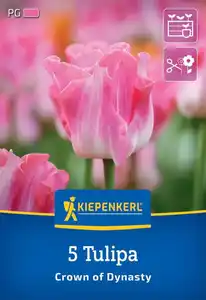 Kiepenkerl Herbstblumenzwiebel Kronentulpe Crown of Dynasty 5 Stück