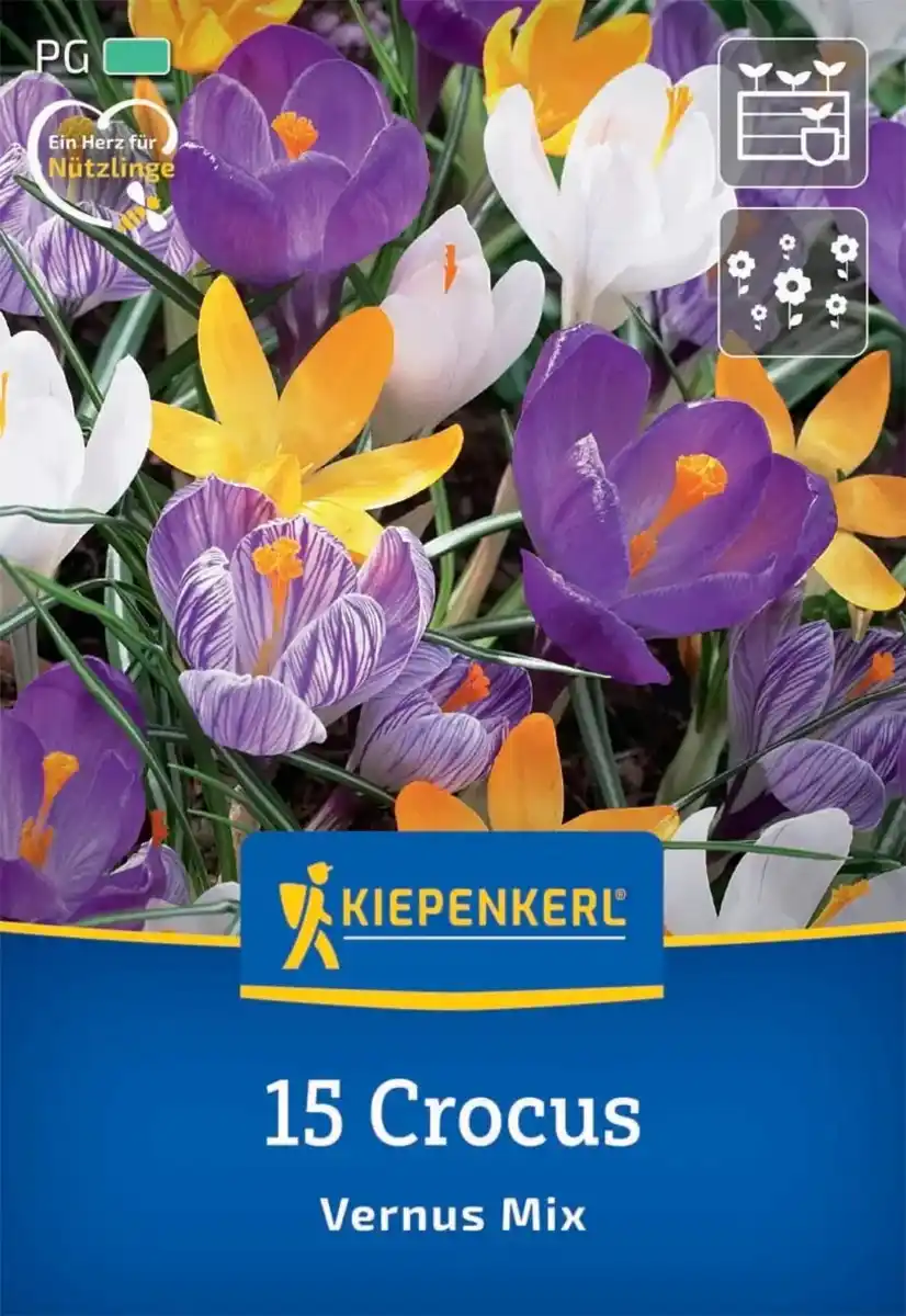 Bild 1 von Kiepenkerl Herbstblumenzwiebel Großblumiger Krokus Mischung 15 Stück