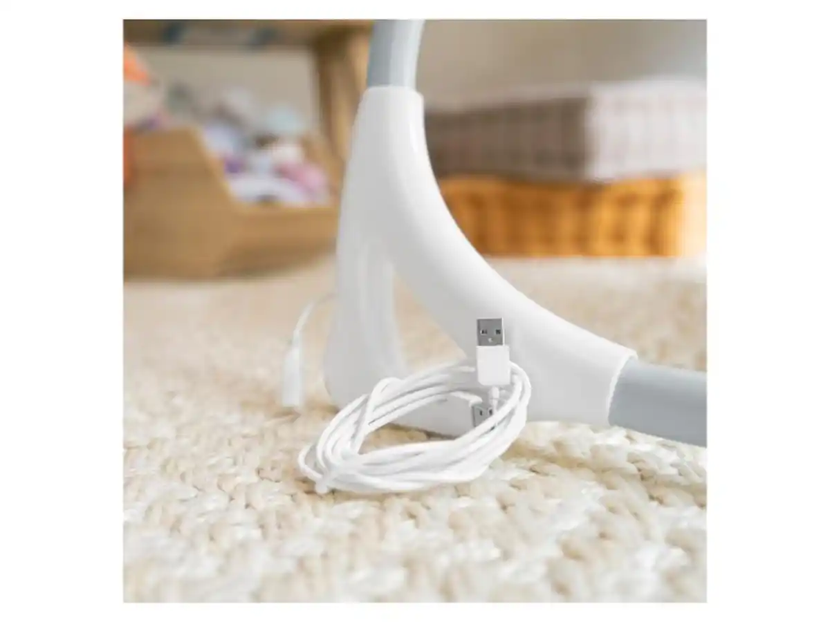 Bild 2 von INGENUITY™ Babyschaukel Everston