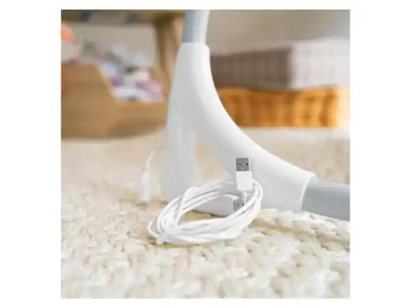 Bild 2 von INGENUITY™ Babyschaukel Everston