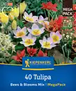 Bild 1 von Kiepenkerl Herbstblumenzwiebelmischung Mega-Pack Bees & Blooms 40 Stück