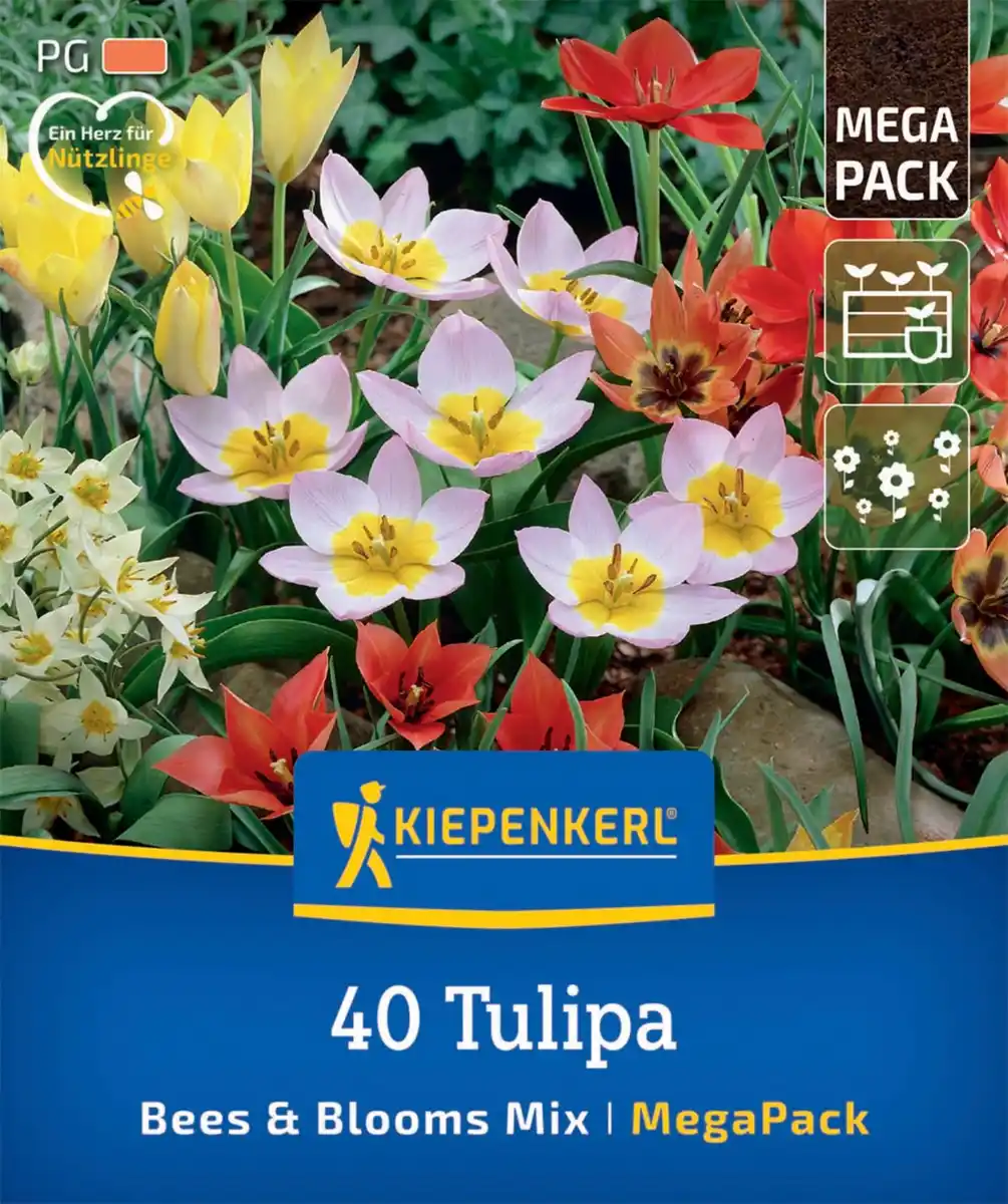 Bild 1 von Kiepenkerl Herbstblumenzwiebelmischung Mega-Pack Bees & Blooms 40 Stück