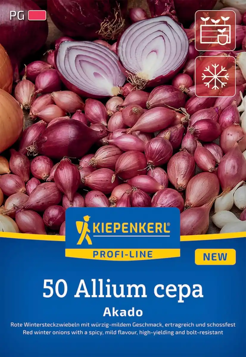 Bild 1 von Kiepenkerl Pflanzgut Rote Wintersteckzwiebel Akado 50 Stück