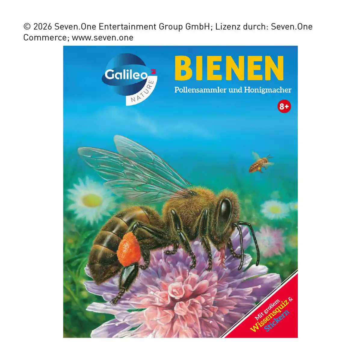 Bild 4 von Wissensbücher