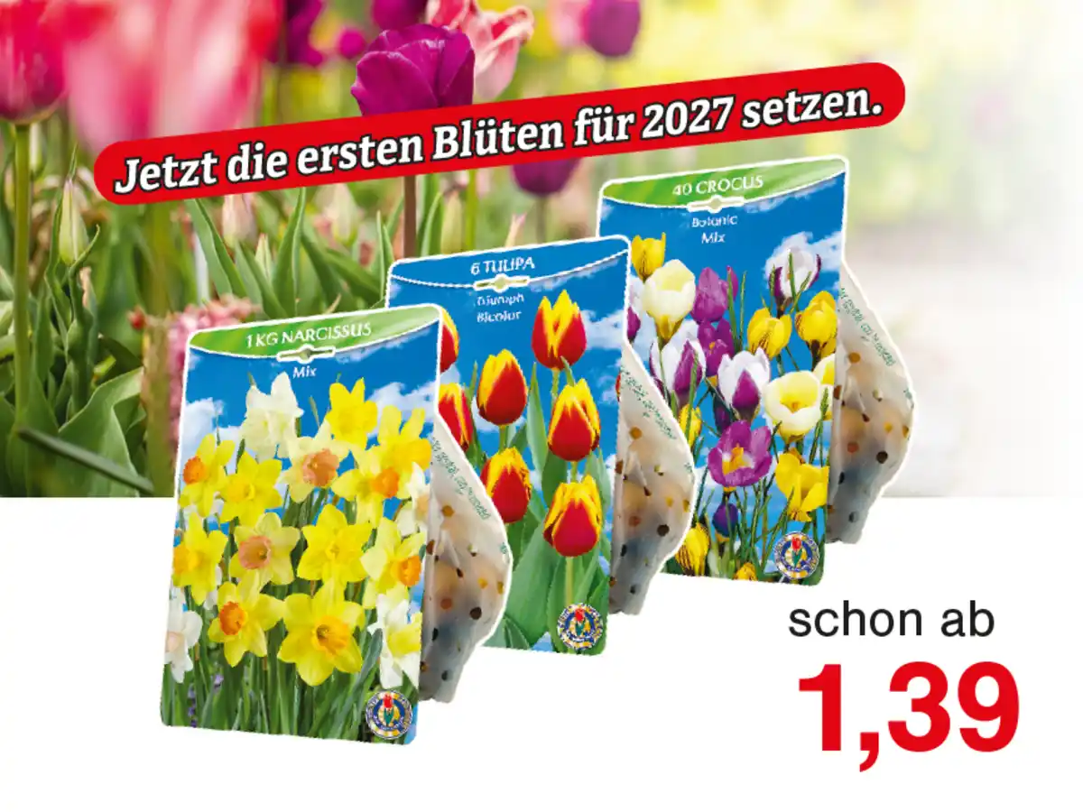 Bild 1 von Riesenauswahl Blumenzwiebeln