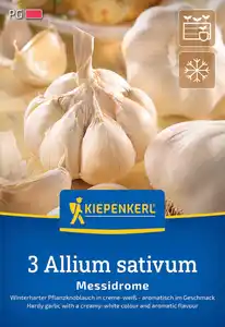 Kiepenkerl Pflanzgut Winterknoblauch Messidrome 3 Stück