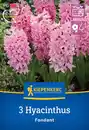 Bild 1 von Kiepenkerl Herbstblumenzwiebel Hyazinthe Fondant 3 Stück