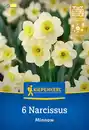 Bild 1 von Kiepenkerl Herbstblumenzwiebel Tazetten-Narzisse Minnow 6 Stück