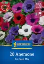 Bild 1 von Kiepenkerl Herbstblumenzwiebel Kronen-Anemonen De Caen Mischung 20 Pflanzen