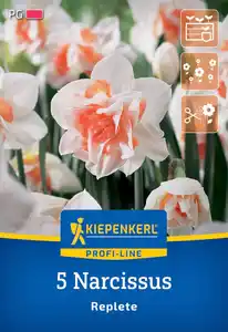 Kiepenkerl Herbstblumenzwiebel Profi-Line Gefüllte Narzisse Replete 5 Stück