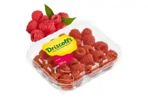 Driscoll´s Himbeeren