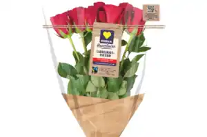 Hochland-Rosen