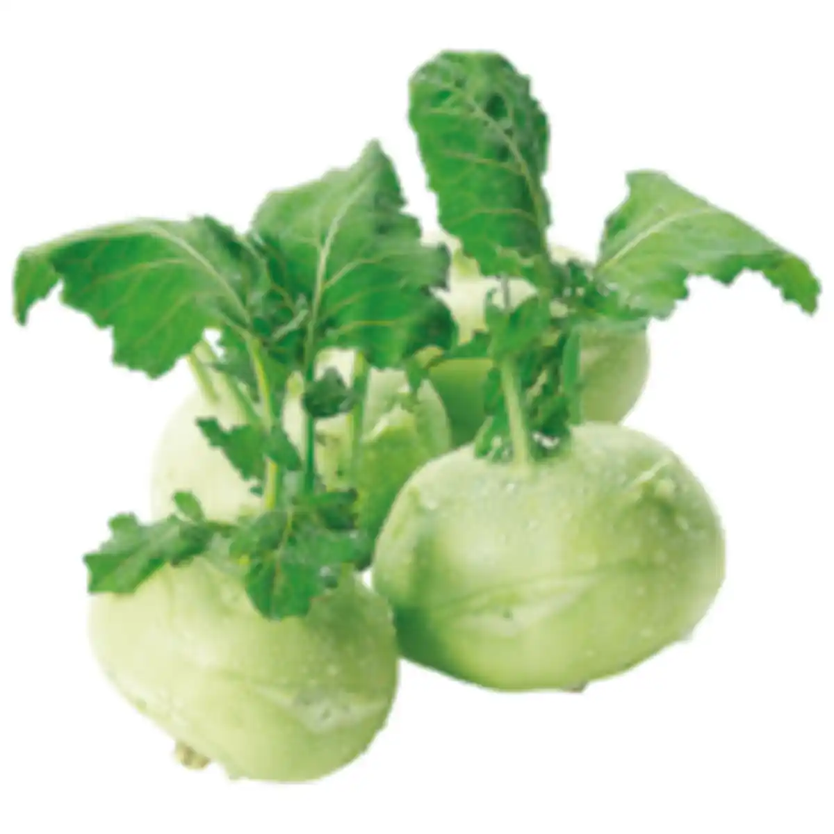 Bild 1 von Kohlrabi