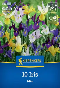 Kiepenkerl Herbstblumenzwiebel Holländische Schwertlilien Mischung 10 Stück
