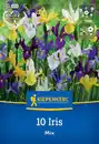 Bild 1 von Kiepenkerl Herbstblumenzwiebel Holländische Schwertlilien Mischung 10 Stück