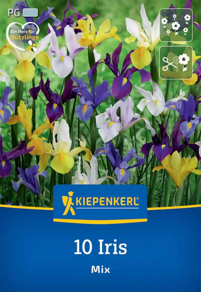 Bild 1 von Kiepenkerl Herbstblumenzwiebel Holländische Schwertlilien Mischung 10 Stück