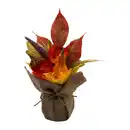 Bild 3 von HOME CREATION Herbstliches Blumenarrangement