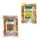 Bild 1 von GARDENLINE Narzissen- / Tulpenzwiebeln