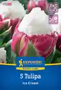 Bild 1 von Kiepenkerl Herbstblumenzwiebel Profi-Line Tulpe Ice Cream 5 Stück