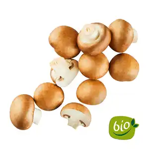 BIO Kulturchampignons braun
