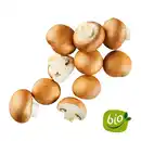 Bild 1 von BIO Kulturchampignons braun