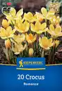 Bild 1 von Kiepenkerl Herbstblumenzwiebel Wildkrokus Romance 20 Pflanzen