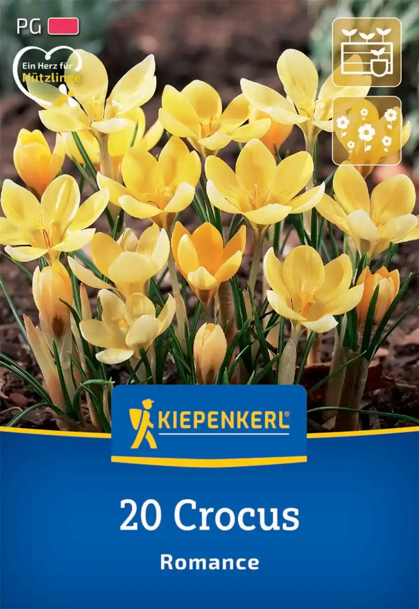 Bild 1 von Kiepenkerl Herbstblumenzwiebel Wildkrokus Romance 20 Pflanzen
