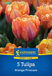 Kiepenkerl Herbstblumenzwiebel Tulpe Orange Princess 5 Stück
