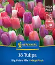 Bild 1 von Kiepenkerl Herbstblumenzwiebelmischung Mega-Pack Darwin-Hybrid-Tulpe Big Pride 18 Stück