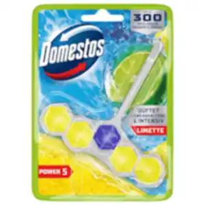 Domestos WC Stein Power 5