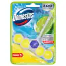 Bild 1 von Domestos WC Stein Power 5