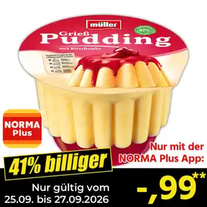 Müller Pudding mit Soße