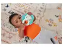 Bild 2 von FISHER-PRICE Aktivitäts-Beißringe