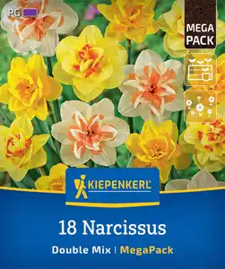 Kiepenkerl Herbstblumenzwiebelmischung Mega-Pack Gefüllte Narzissen 18 Stück