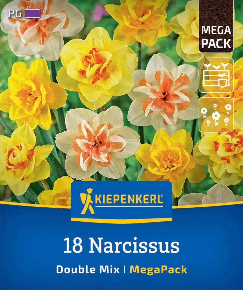 Bild 1 von Kiepenkerl Herbstblumenzwiebelmischung Mega-Pack Gefüllte Narzissen 18 Stück