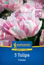 Bild 1 von Kiepenkerl Herbstblumenzwiebel Profi-Line Tulpe Finola 5 Stück