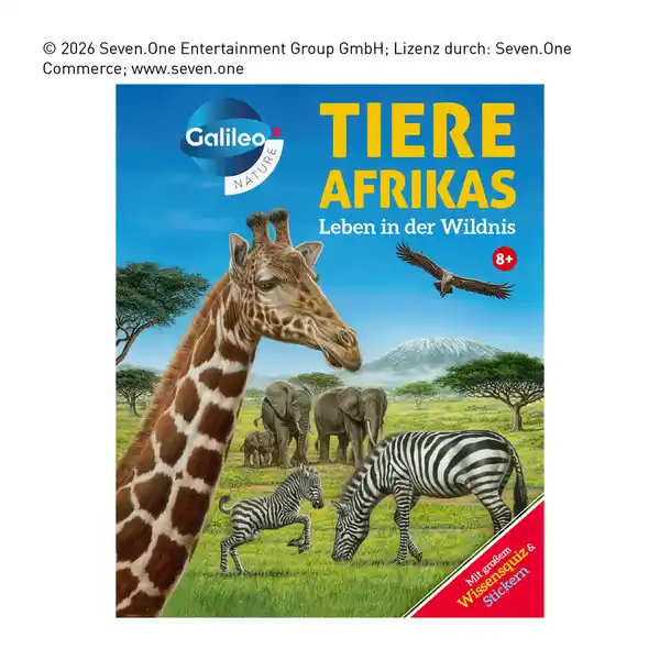 Bild 3 von Wissensbücher