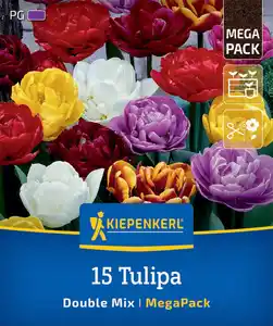 Kiepenkerl Herbstblumenzwiebelmischung Mega-Pack Gefüllte Tulpen 15 Stück