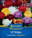 Bild 1 von Kiepenkerl Herbstblumenzwiebelmischung Mega-Pack Gefüllte Tulpen 15 Stück