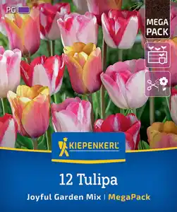 Kiepenkerl Herbstblumenzwiebelmischung Mega-Pack Joyful Garden 12 Stück