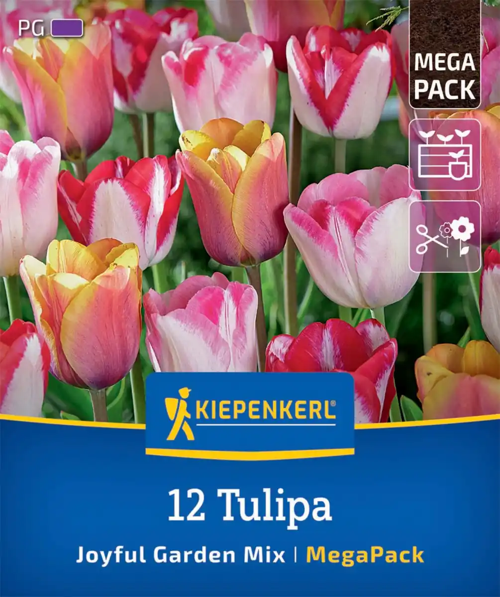Bild 1 von Kiepenkerl Herbstblumenzwiebelmischung Mega-Pack Joyful Garden 12 Stück