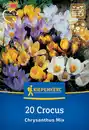 Bild 1 von Kiepenkerl Herbstblumenzwiebel Krokus Mischung 20 Pflanzen