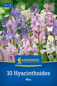 Kiepenkerl Herbstblumenzwiebel Hasenglöckchen Hyacinthoides hispanica Mischung 10 Stück